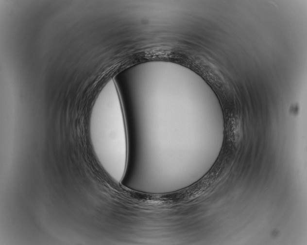 X0000101100224200806261052
