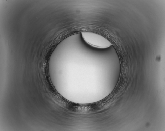 X0000101100225200806261052