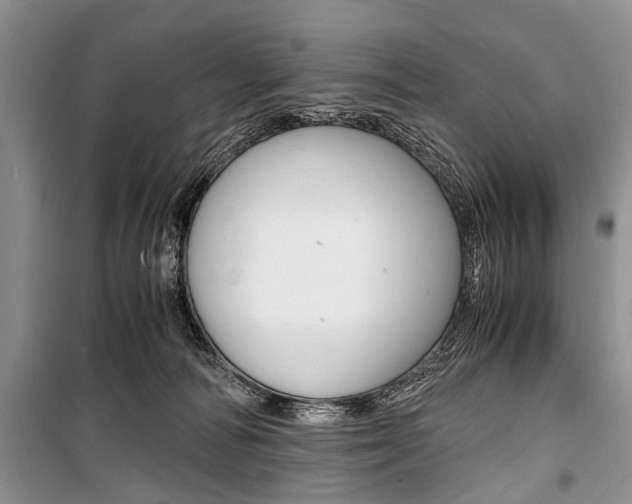 X0000101100226200806261052