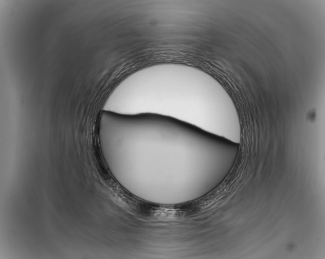 X0000101100227200806261052