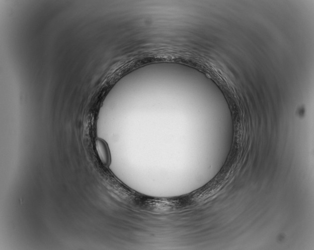 X0000101100229200806261052
