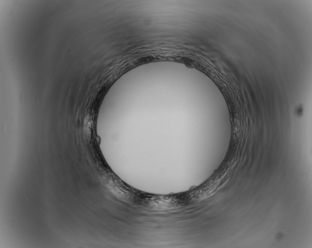 X0000101100235200806261052