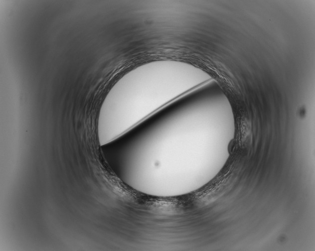 X0000101100236200806261052