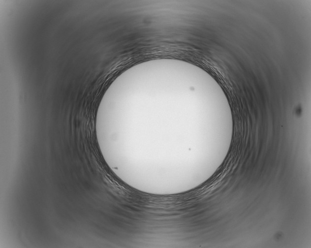 X0000101100237200806261052