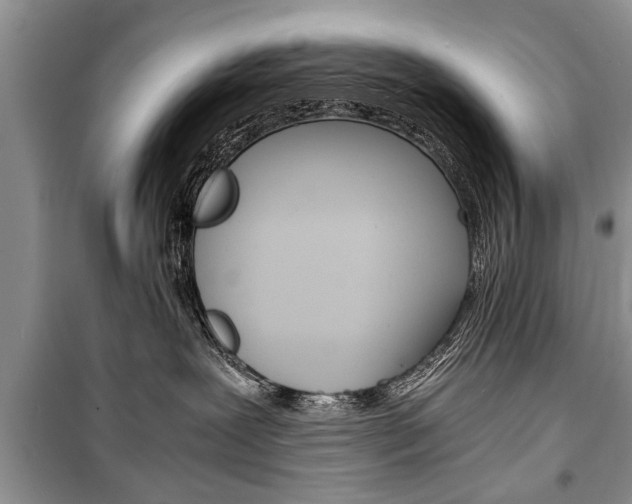 X0000101100239200806261052