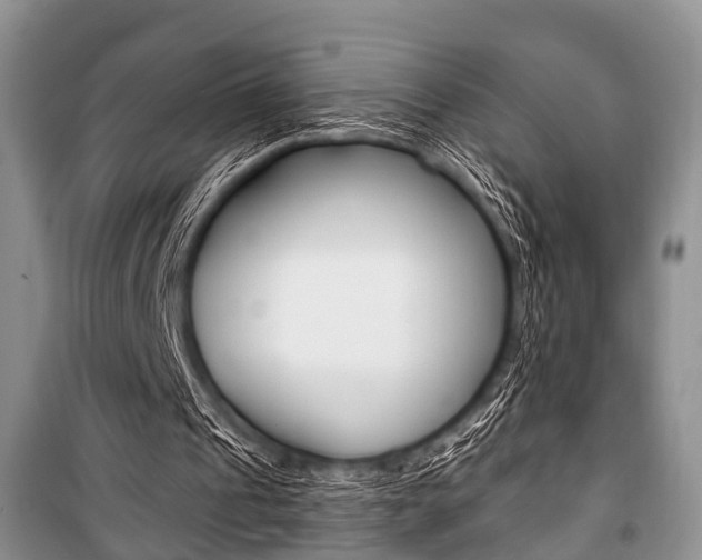 X0000101100241200806261051
