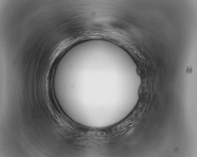 X0000101100242200806261051