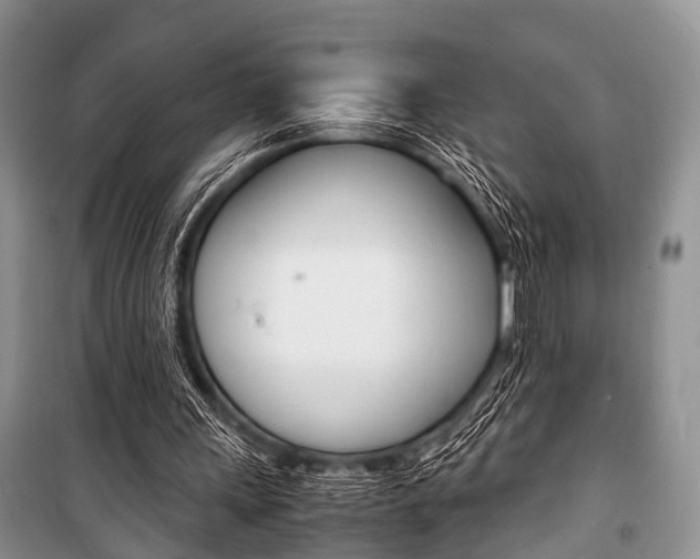 X0000101100243200806261051