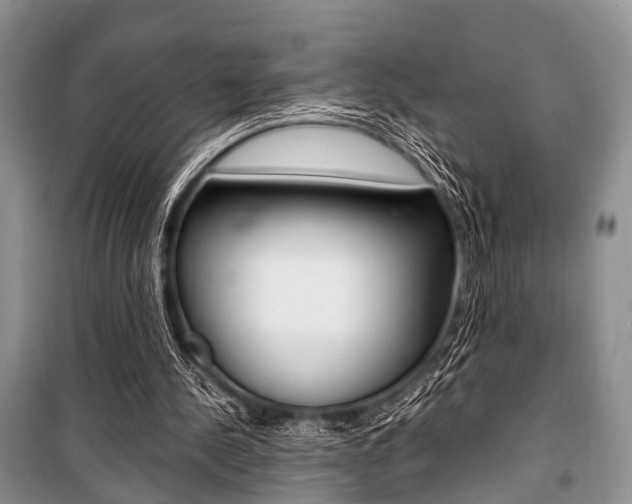 X0000101100244200806261051