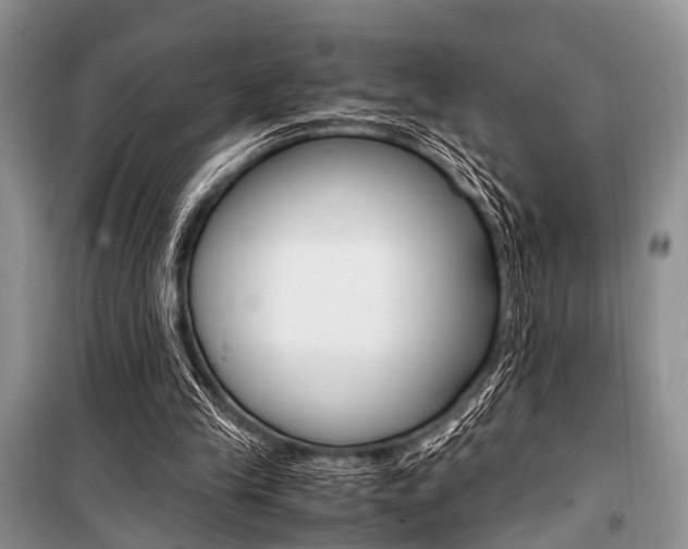 X0000101100245200806261051