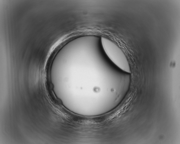 X0000101100246200806261051