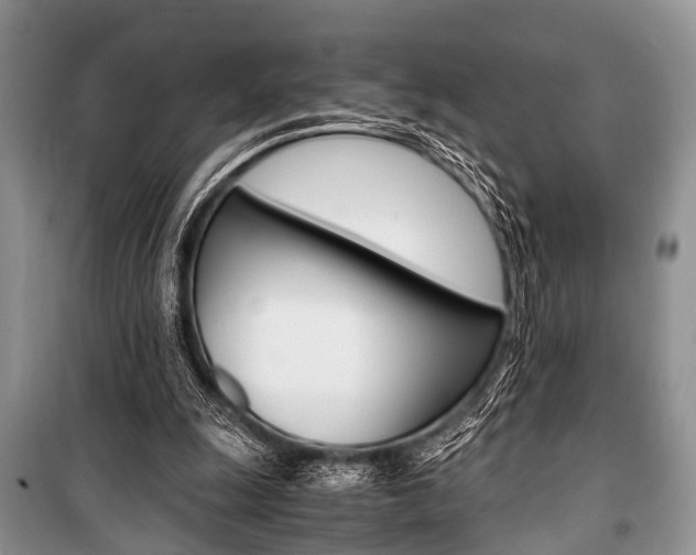 X0000101100247200806261051