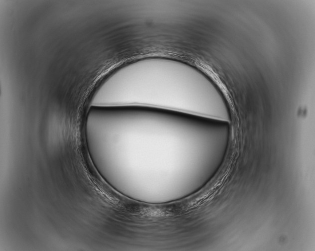 X0000101100249200806261051