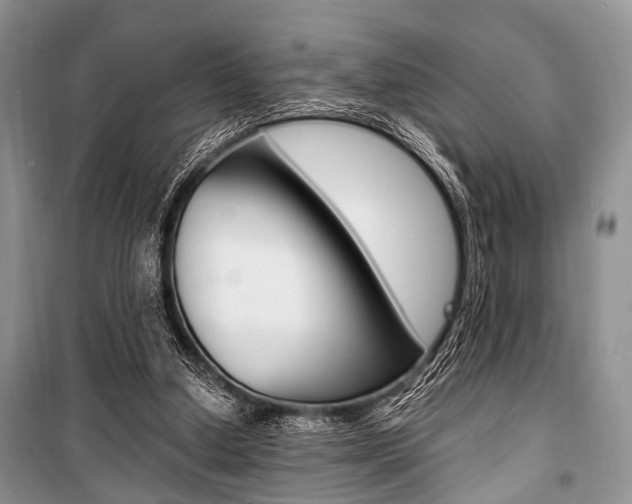 X0000101100250200806261051