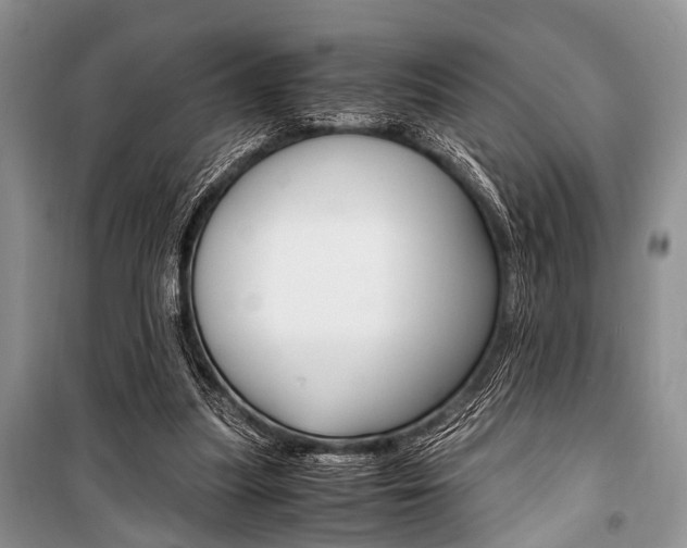X0000101100251200806261051