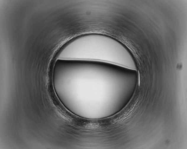 X0000101100252200806261051