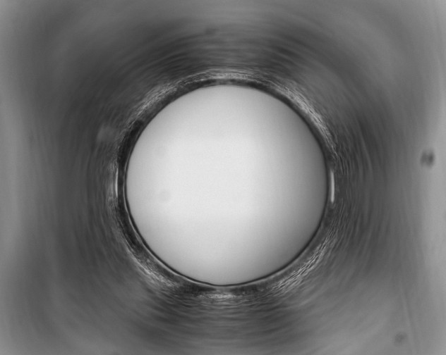 X0000101100253200806261051