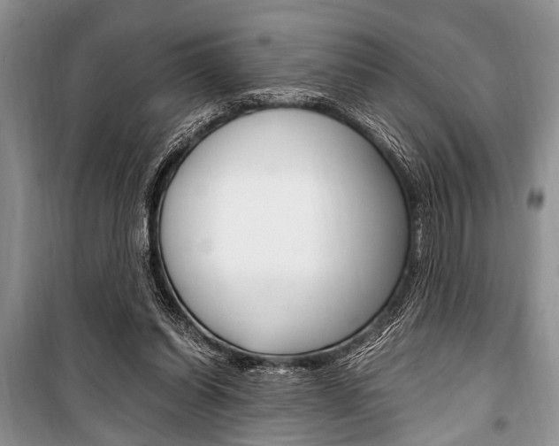 X0000101100254200806261051