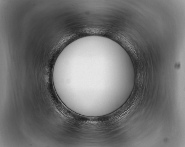 X0000101100255200806261051