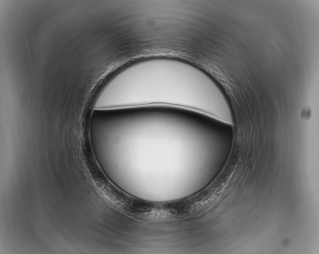 X0000101100256200806261051
