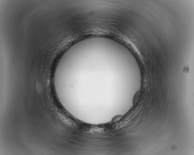 X0000101100257200806261051