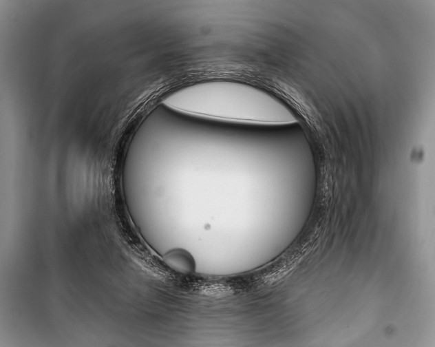 X0000101100258200806261051