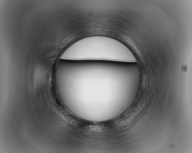 X0000101100259200806261051