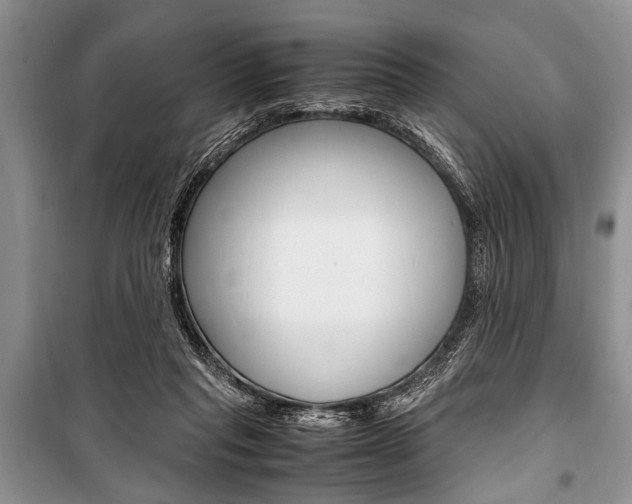 X0000101100261200806261051