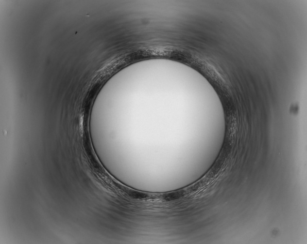 X0000101100262200806261051