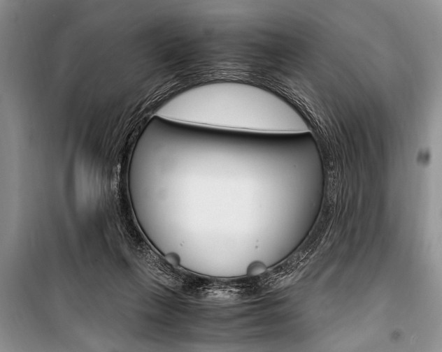 X0000101100263200806261051