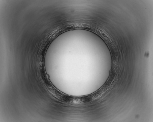 X0000101100264200806261051
