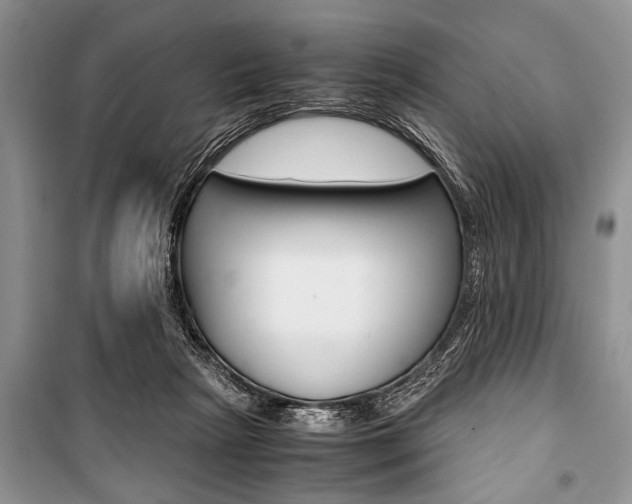 X0000101100265200806261052