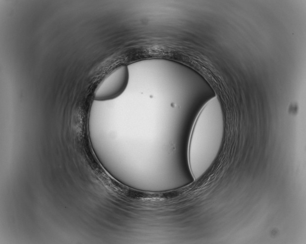 X0000101100266200806261052