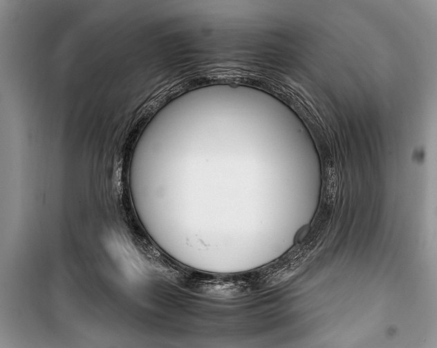 X0000101100267200806261052