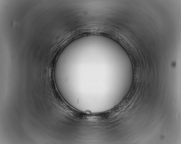X0000101100268200806261052
