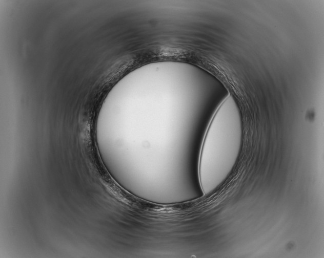 X0000101100269200806261052