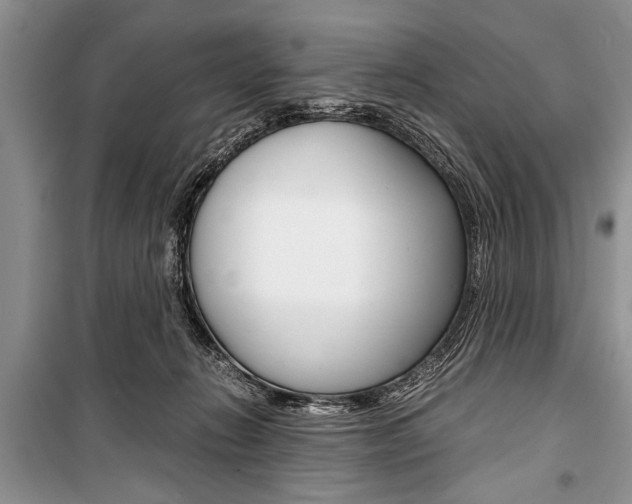 X0000101100270200806261052
