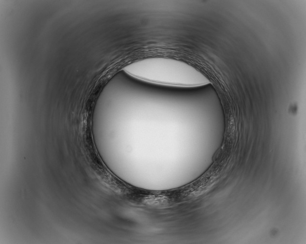 X0000101100271200806261052
