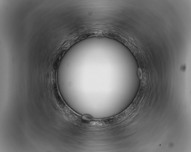 X0000101100272200806261052