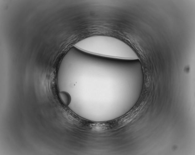 X0000101100273200806261052