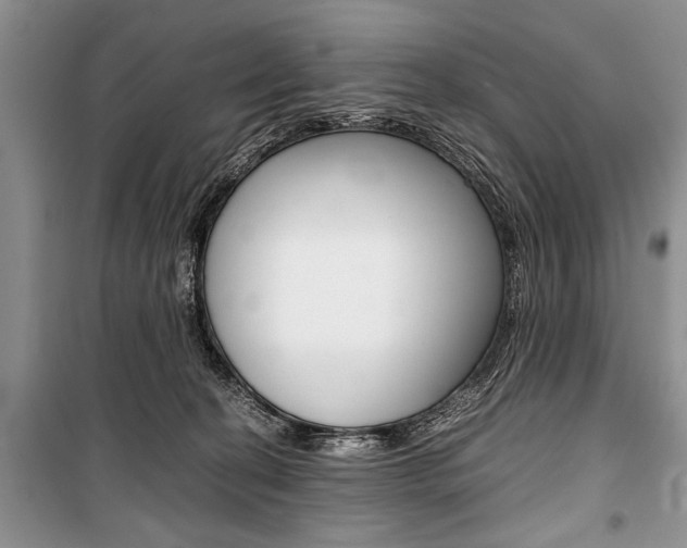 X0000101100274200806261052
