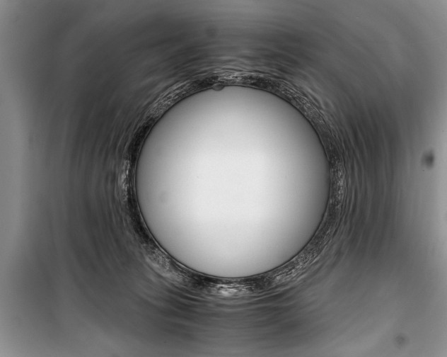 X0000101100275200806261052