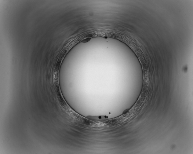 X0000101100276200806261052
