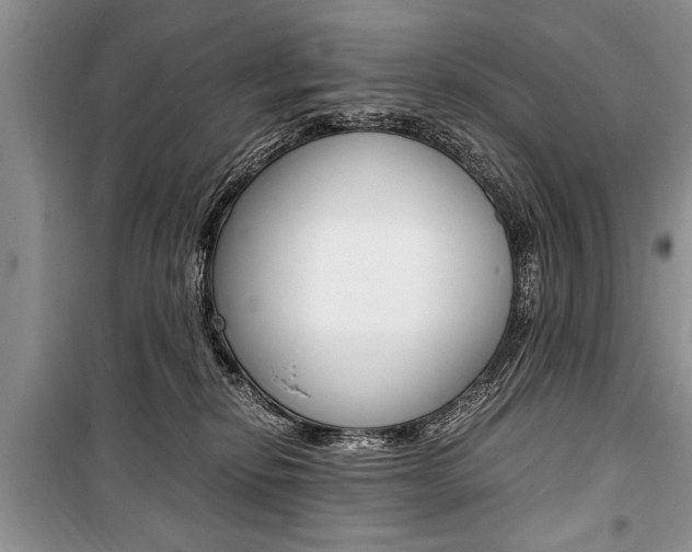 X0000101100278200806261052