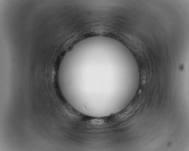 X0000101100279200806261052