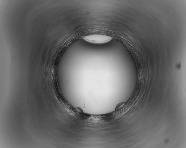 X0000101100280200806261052
