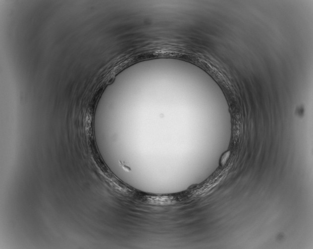 X0000101100281200806261052