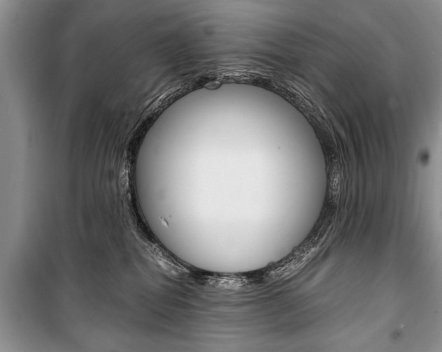 X0000101100282200806261052