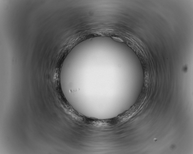 X0000101100284200806261052