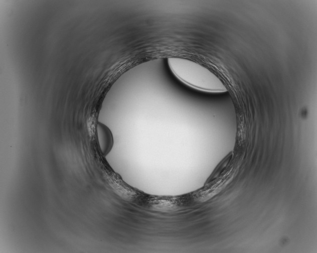 X0000101100285200806261052